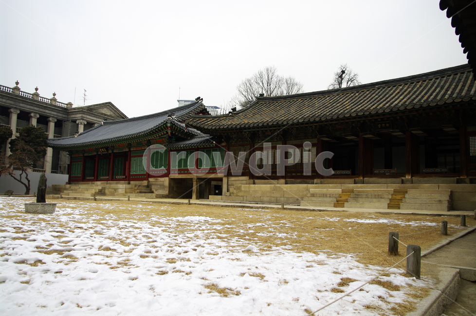덕수궁,고궁,건축,전통건축,traditional,전통,기와지붕,겨울,winter,풍경,설경,눈,겨울,계절,winter,season,한국전통,한국문화,korean traditional,korean culture,랜드마크,landmark,tourist attraction,한국랜드마크,한국관광지,한국명소,korea landmark,korea tourist attraction