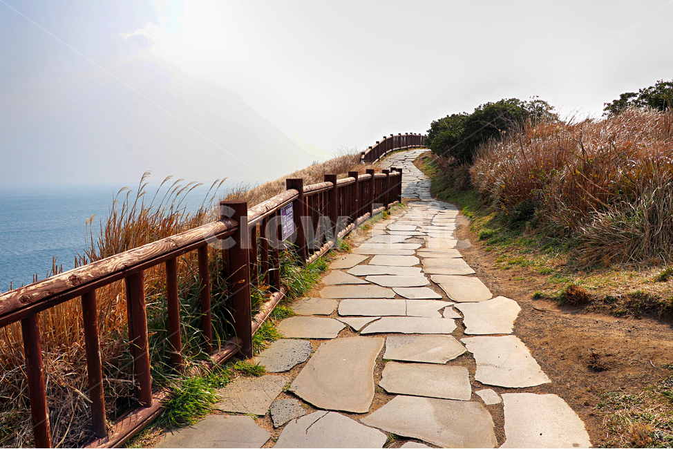 제주도,송악산,송악산둘레길,풍경,둘레길,자연,옥외,outdoors,nature,바다,해안선,sea,자연,풍경,nature,landscape