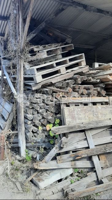 countryside,pallet,tree,Waste wood materials,storage,Threat roof,For firewood,material,firewood,palette,abandoned tree,country house