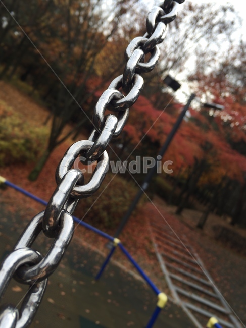 그네,사슬,가을,공원,놀이터,단풍,swing,sway,autumn,fall