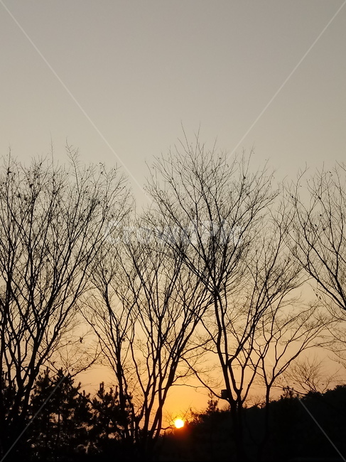 일몰,햇빛,석양,자연,옥외,빛,outdoors,nature,light,sunlight,붉은하늘,황혼,sunset
