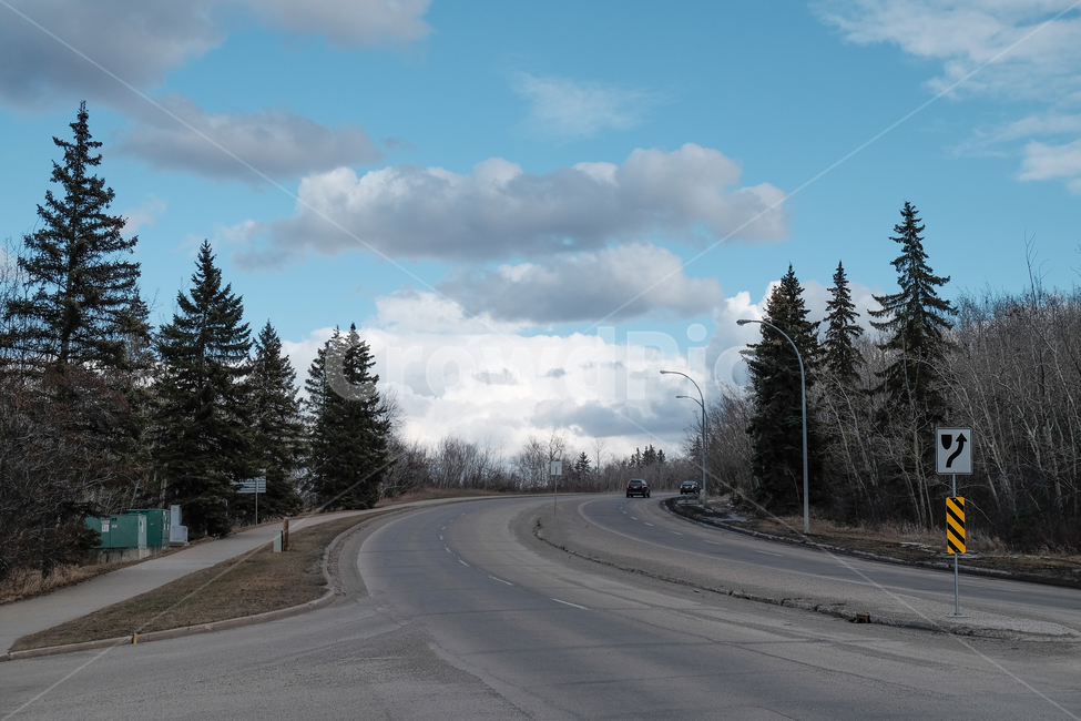 캐나다,canada,에드먼튼,edmonton,알버타,alberta,겨울,쌀쌀,겨울풍경,도로,차도,도시,풍경,city,landscape,road,fir,전나무,plant,식물,tree,나무,freeway,고속 도로,highway,고속도로
