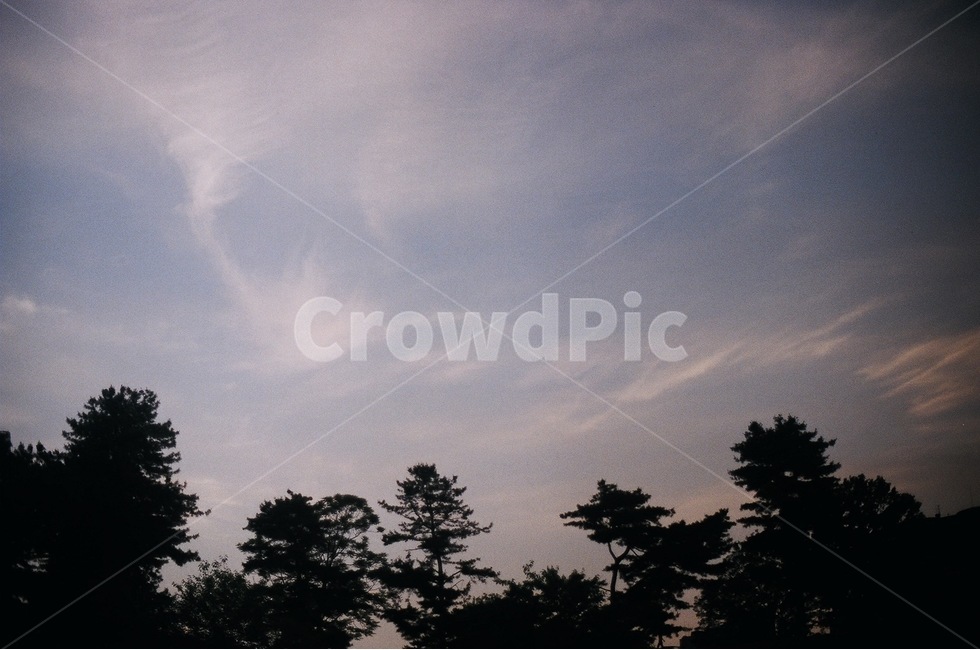 하늘,구름,나무,역광,풍경,자연,풍경,nature,landscape,감성,sensible,feeling,outdoors,옥외