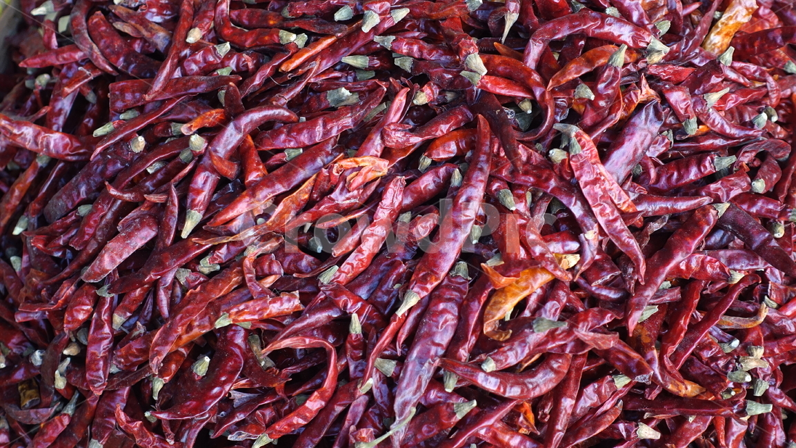 market,음식,food,시장,고추,red,chilli,건고추,driedchilli
