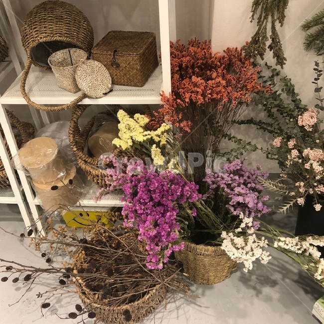 드라이플라워,dryflower,꽃바구니,감성드라이플라워,감성꽃,식물,자연,plants,nature,꽃,flower