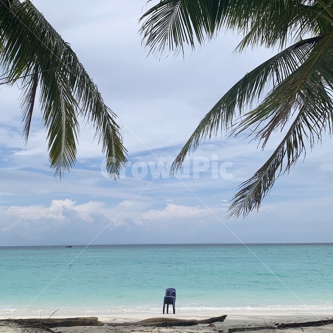 summer,여름,land,sea,beach