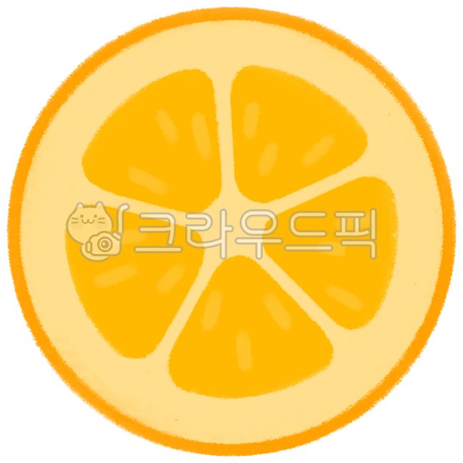 Bbaengkang,bbaengkang illustration,bbaengkang drawing,bbaengkang image,bbaengkang cross section,bbaengkang piece,kumquat,kumquat illustration,kumquat drawing,kumquat image,kumquat cross section,kumquat piece