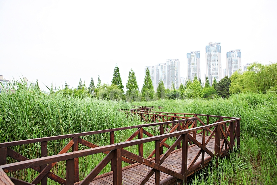 안산호수공원,산책로,길,공원,자연