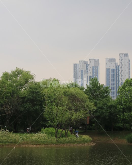 숲,자연,나무,풍경,배경,도시,풍경,city,landscape,한국도시풍경,한국도시경관,korea cityscape,plant,식물,grass,잔디