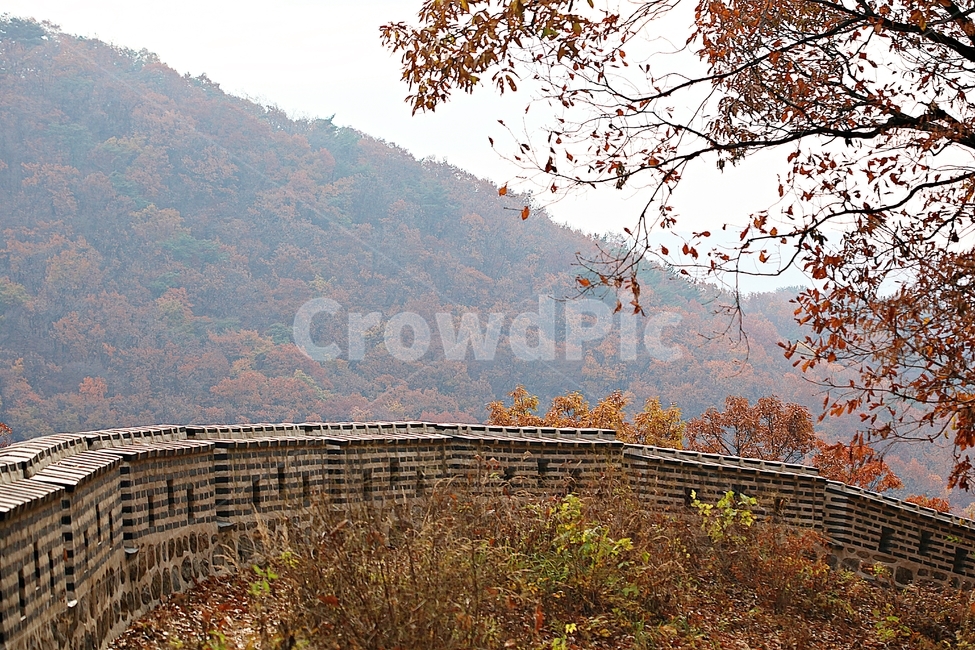 남한산성,성곽,성,단풍,낙엽,길,둘레길,숲,숲길,담,돌담,가을,자연,풍경,벽,울긋불긋,산성,식물,가을,계절,fall,autumn,season,한국전통,한국문화,korean traditional,korean culture,nature,outdoors,옥외