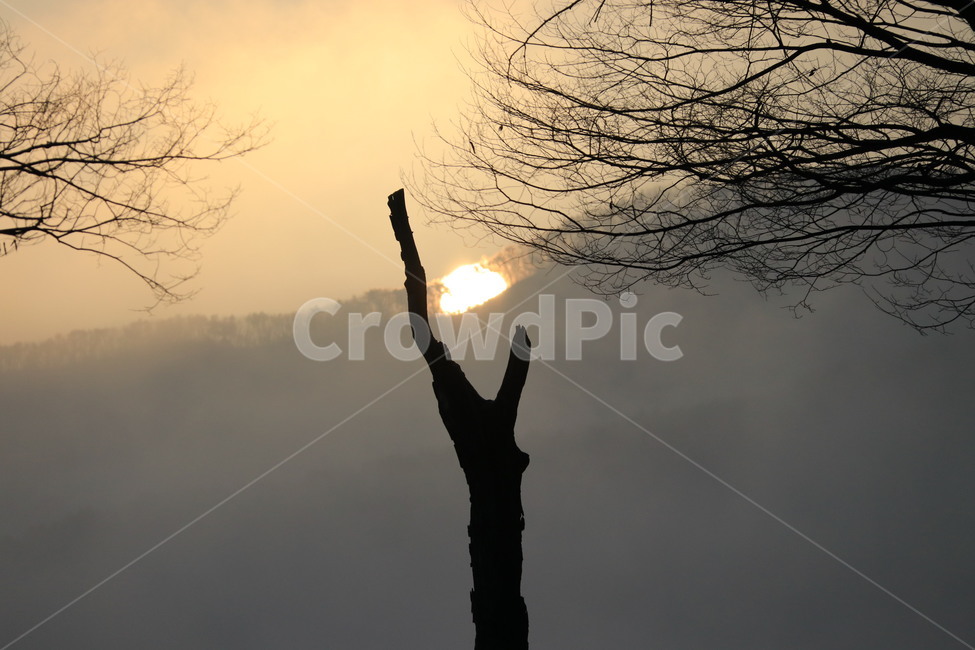 빛,sunlight,일출,자연,nature,자연,풍경,nature,landscape