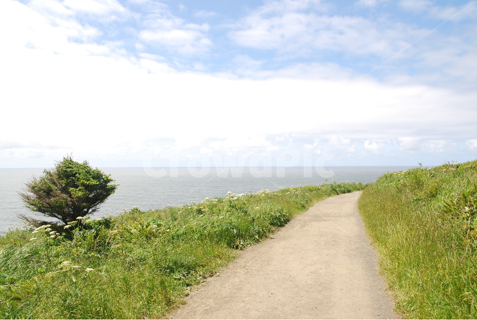 하늘,바다,흙길,길,나무,잔디,sky,sea,road,dust,tree,green,해변,ocean