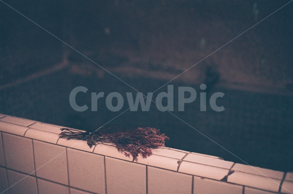 카페,공간,인테리어,느낌,순간,분위기,식물,자연,plants,nature,감성,sensible,feeling,꽃,flower