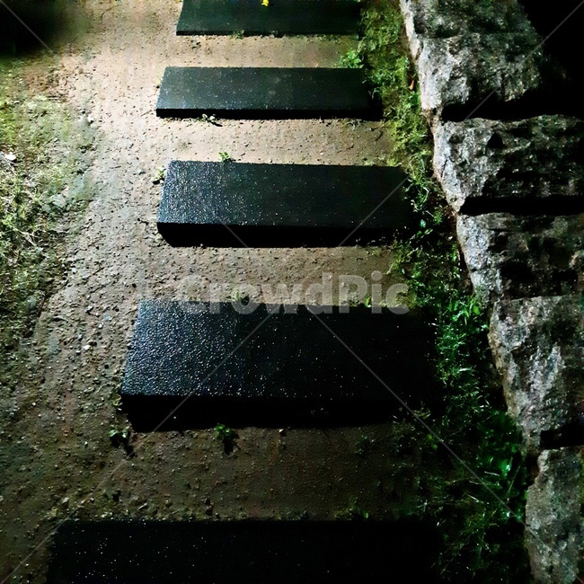 돌다리,빛,어두운,공원,길,자연,풍경,nature,landscape,path,통로,walkway,보도,slate,슬레이트,flagstone,판석