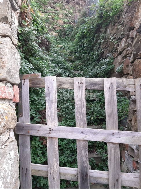 분위기,감성,울타릭,골목,봄,자연,풍경,nature,landscape,gate,문
