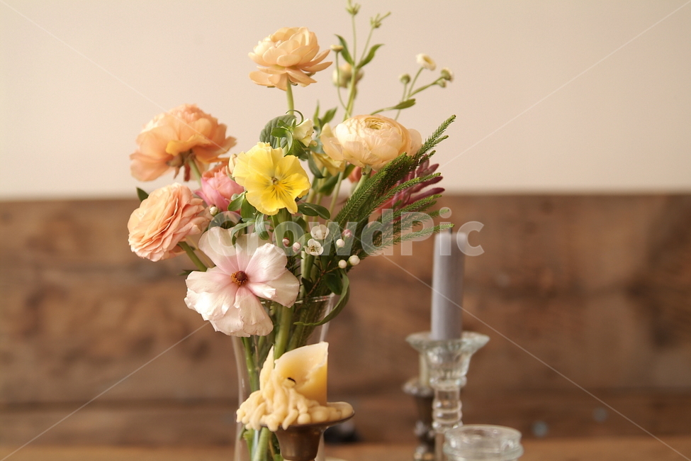꽃,색깔,색상,색채,color,sense,flower,감성,식물,cafe,카페,인테리어,데코,무드,컨셉,분위기,아련,concept,interior