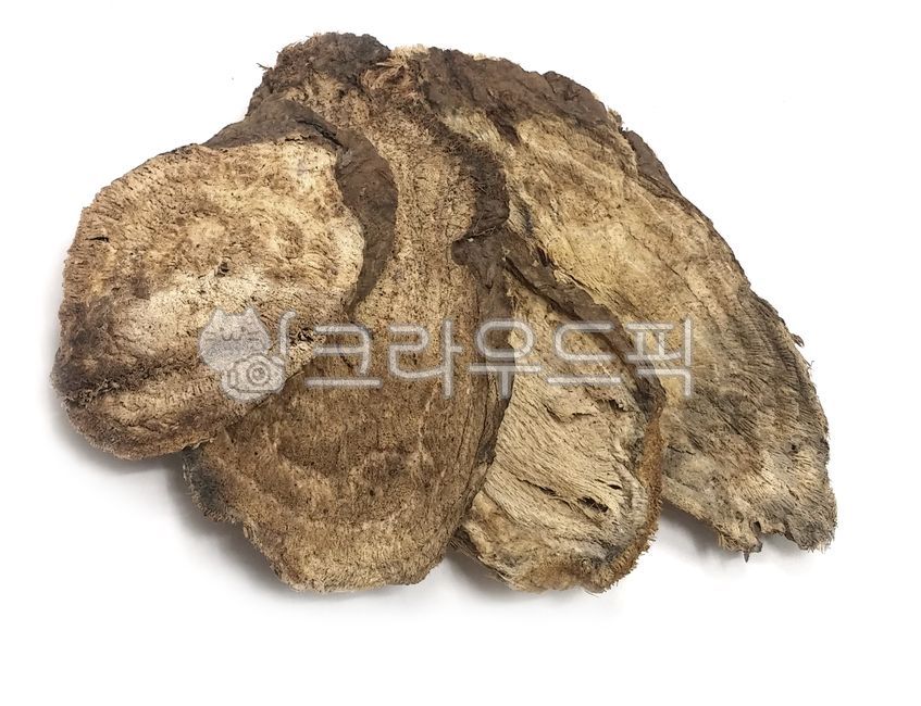 갈근, 칡, 칡뿌리, 편갈근, 자른갈근, 사진,이미지,일러스트,캘리그라피 - 마스팅작가