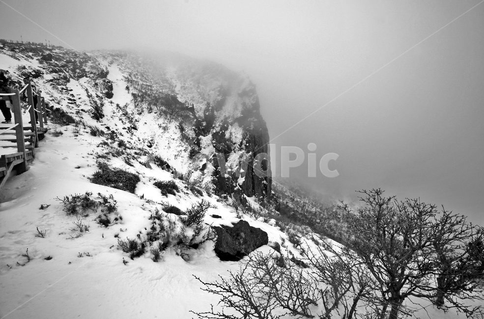 한라산,설경,제주도,영실코스,눈,겨울,설화,안개,탐방로,겨울,계절,winter,season