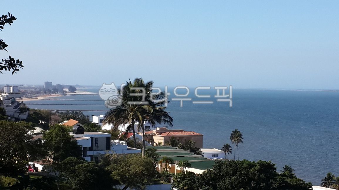 모잠비크,아프리카,마푸투,인도양,주택가,야자수