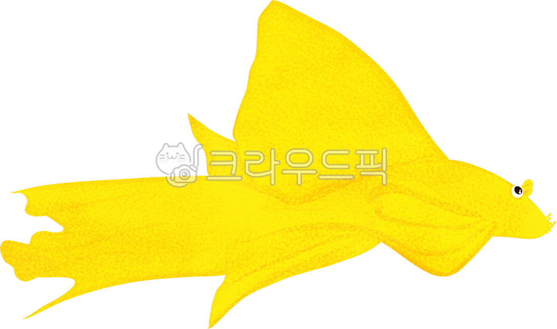 플레코,청소물고기,어항생물,물고기그림,물고기,플레코png,안시png,l144,안시롱핀,옐로우안시롱핀,yellowlongfin