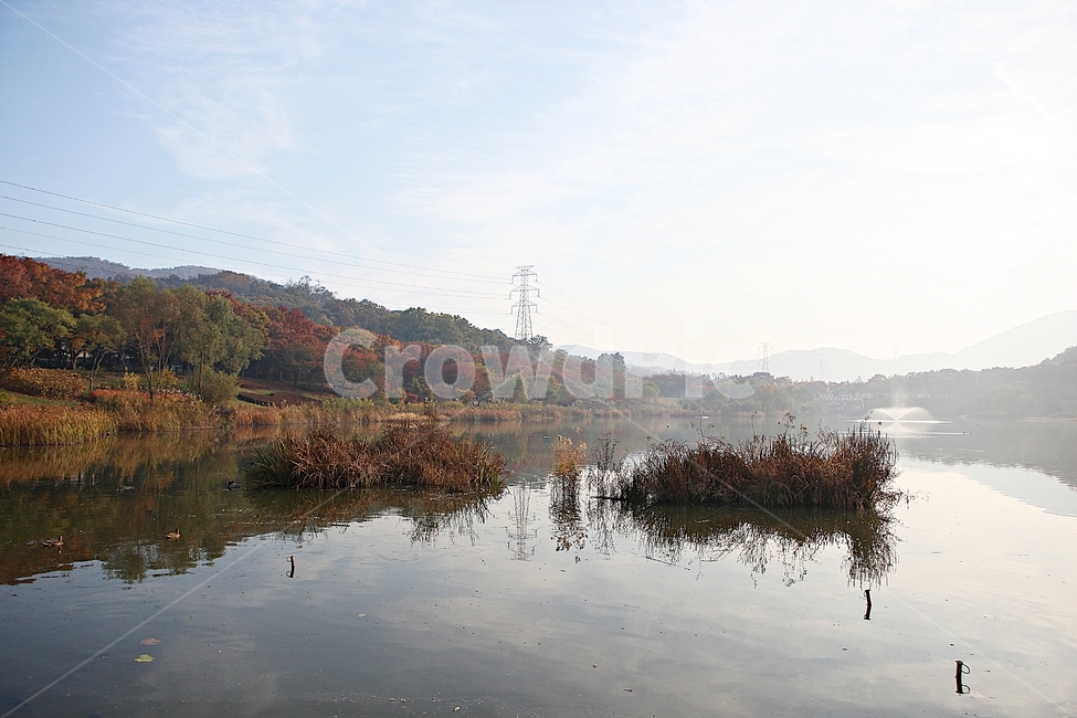 인천대공원,호수,아침,단풍,안개,울긋불긋,가을,식물,자연,풍경,공원,낙엽,하늘,가을,계절,fall,autumn,season,자연,풍경,nature,landscape,outdoors,옥외,land,땅,water,물