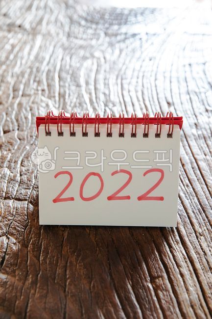calendar,Year 2022,yearofthetiger,2022,two thousand twentytwo years,Lim Innyeon,hope,tiger,lmlnnyeon,tigersea,newyear,Annual event table,2022lmpersonationwear,Year of the tiger,Year of the Tiger,new year