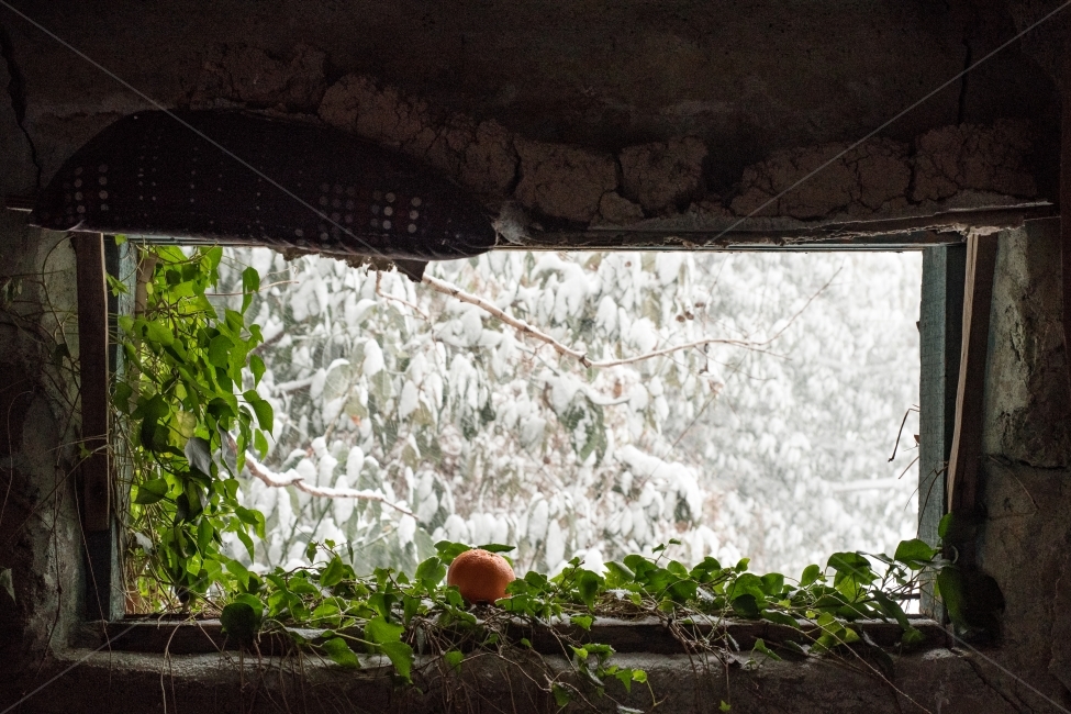 창문,겨울,눈,풍경,겨울풍경,겨울,계절,winter,season,인테리어,실내디자인,interior design