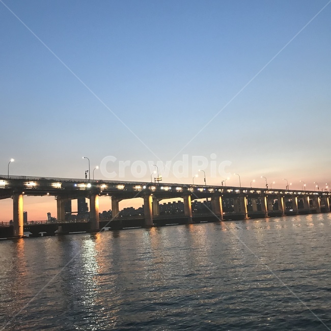 한강,water,물,한강공원,밤