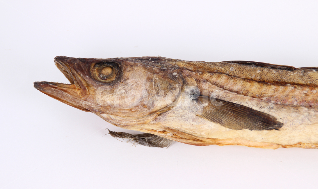 fish,물고기,황태,북어,꼬리,북어대가리,황태대가리,북어머리,음식,식재료,요리,food,cook,meal,dishes,food reserves