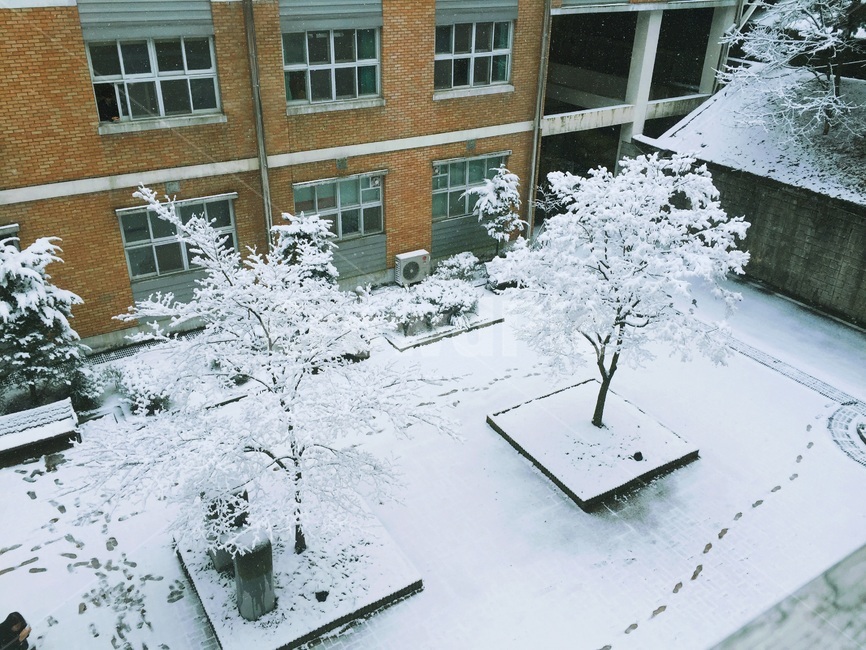 자연,겨울,학교,눈,white,눈발자국