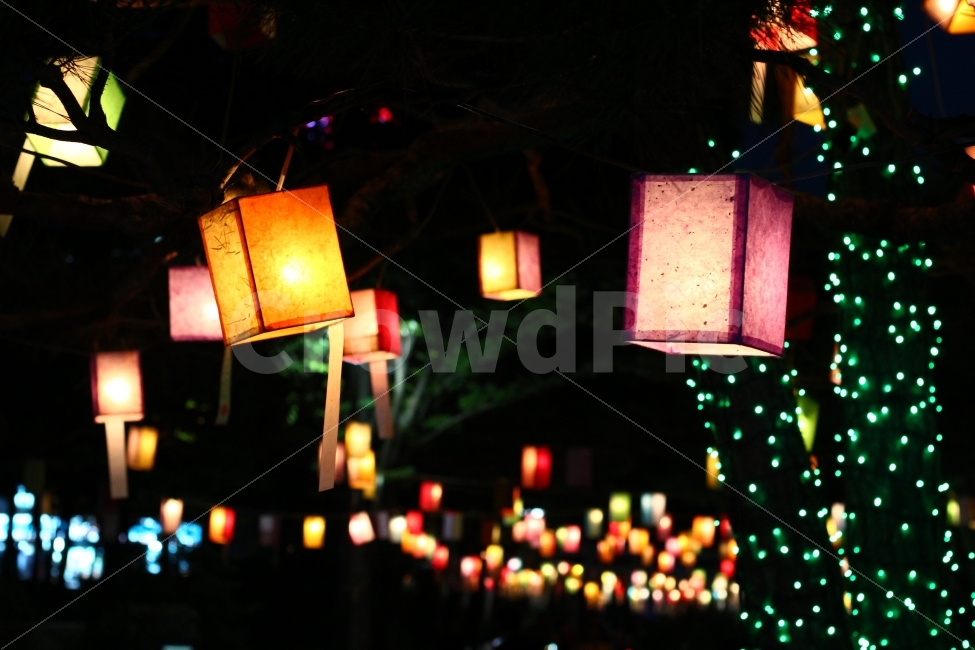 연등,공원,야경,불빛,저녁,빛,야경,밤,풍경,nightscape,night,landscape,한국전통,한국문화,korean traditional,korean culture,종교,신앙,religion,belief,faith,기념일,축하,anniversary,congratulation,celebrate,celebration,축제,행사,festival,carnival,event,색깔,색상,색채,색감,color sense,color sensitivity,feeling of color,lamp,램프