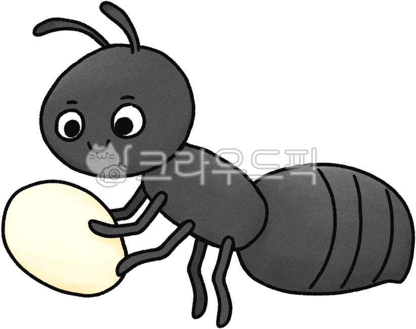 Ant,worker ant,ant illustration,ant png,ant drawing,insect,insect illustration,insect drawing,ant egg,ant larva