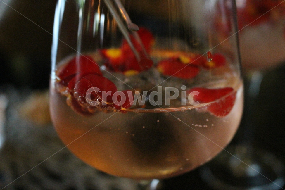 cocktail,alcohol,알코올,drink,음주,beverage,마실것,장미꽃,와인,칵테일,탄산,와인잔,무드,mood,분위기,술,주류,alcohol