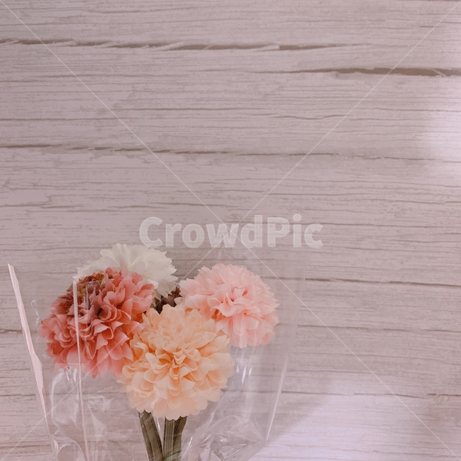 국화,꽃다발,추억,빈티지,꽃송이,plant,식물,flower,꽃,blossom
