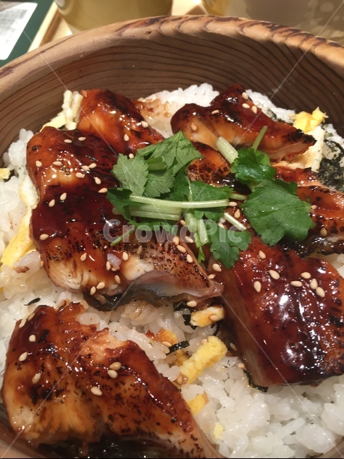 장어,장어덮밥,밥,맛집,입맛