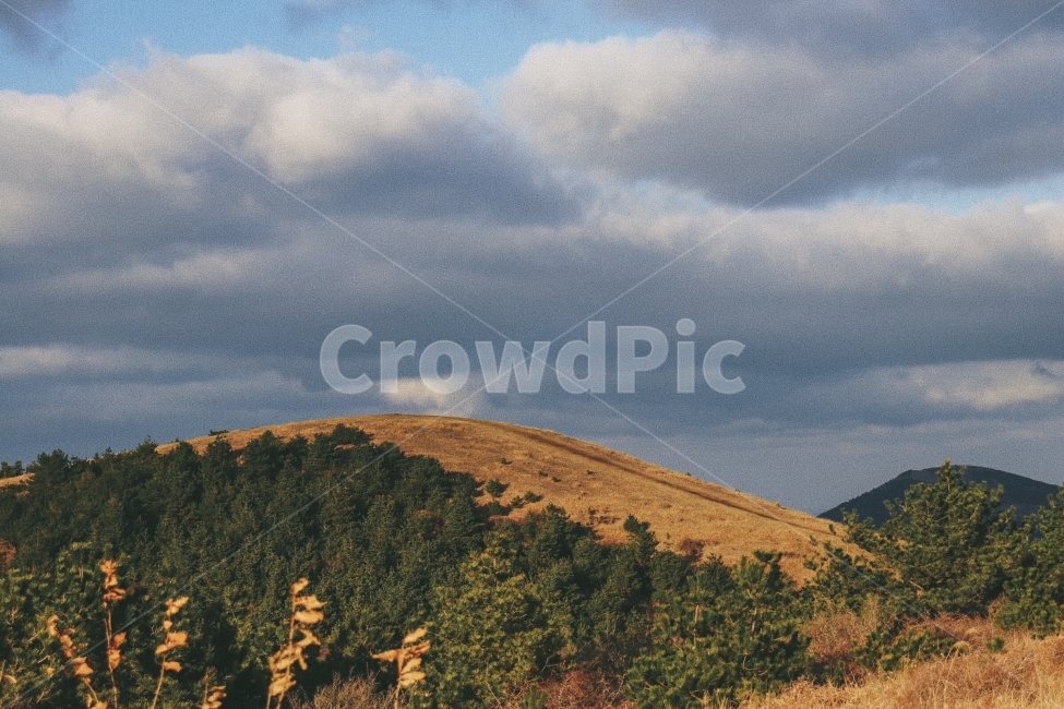 오름,제주,제주도,노을,해질녘,자연,풍경,nature,landscape,한국자연풍경,한국자연경관,korea nature landscape,제주도,jeju,jeju island,outdoors,옥외