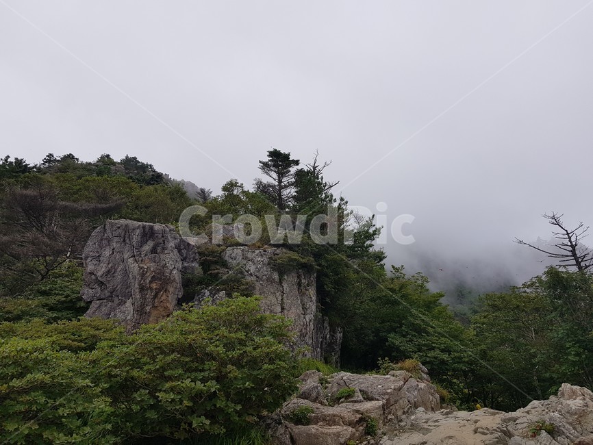 지리산,등산로,정상,자연,풍경,산,자연,풍경,nature,landscape,outdoors,옥외,cliff,낭떠러지