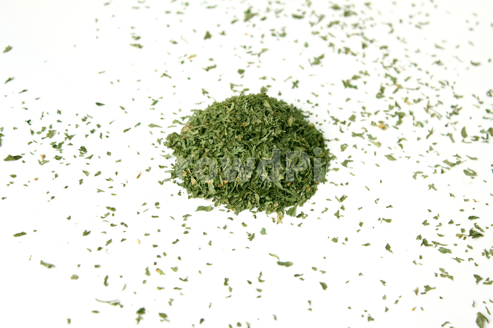 parsley,dryparsley,powder,파슬리,파슬리가루,파슬리잎,가루,요리재료,식재료,이탈리안,말린,마른,말린잎,closeup,cooking,driedparsley,dry,food,italian,leaf,parsleyleaf,plant,topview,양념,더미,dummy,group,덩어리,모여있는,탑앵글,음식,식재료,요리,food,cook,meal,dishes,food reserves,연출,컨셉,콘셉,direction,concept