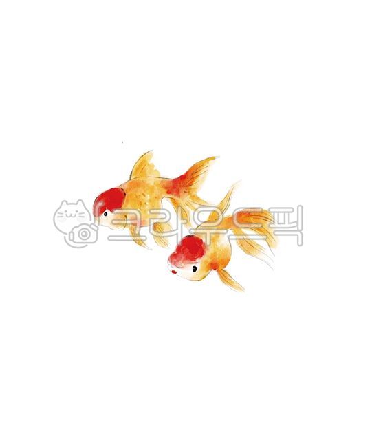 Goldfish,fish,illustration,watercolor,art,drawing,design
