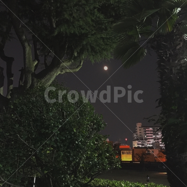 학교,밤,달,하늘,운동장,도시,풍경,city,landscape,야경,밤,nightscape,night,light,빛,flare,플레어,nature,자연,outdoors,옥외