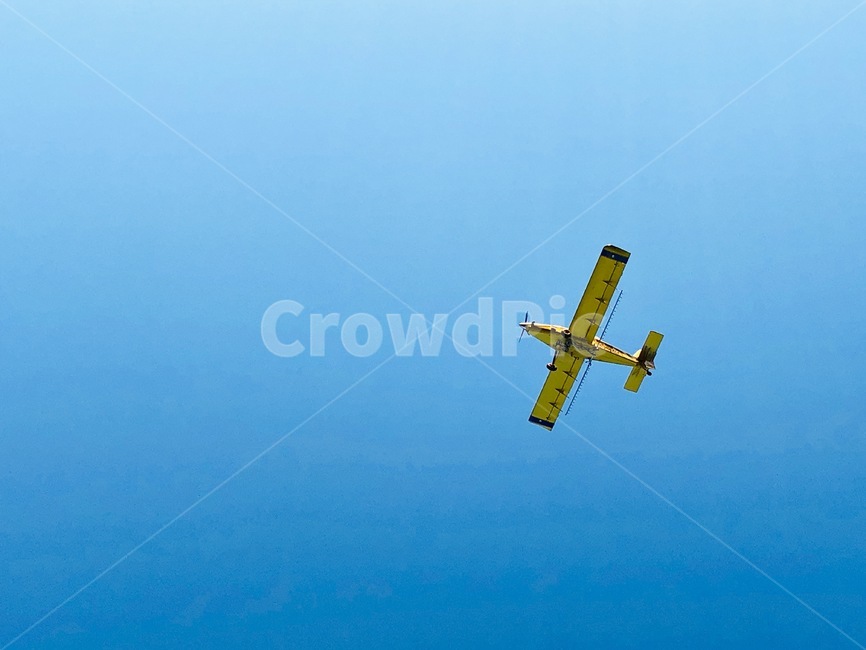 하늘,비행기,노란색,파란색,교통수단,onesubject,plane,sky,blue,yellow,교통,교통수단,traffic,transportation