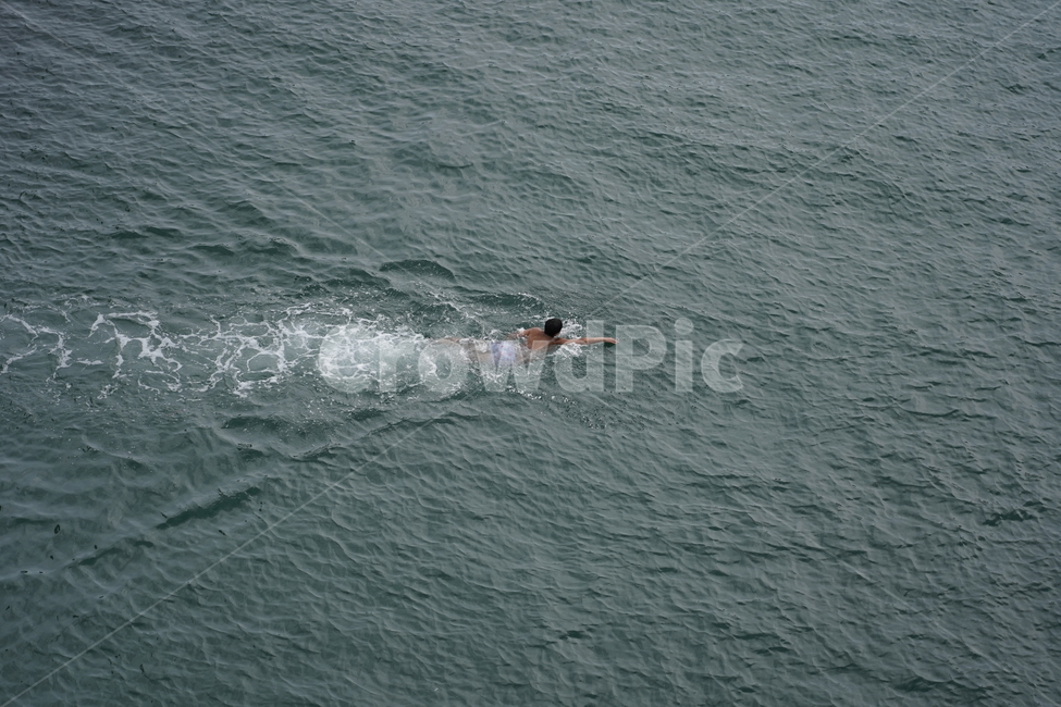 수영,swimming,자유,free,소년,boy