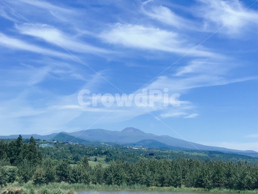 제주,한라산,하늘,구름,나무,jeju,hallasan,sky,cloud,tree