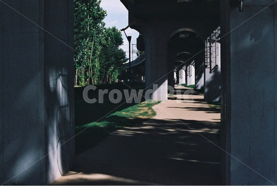 철도,다리,나무,그림자,railway,bridge,tree,shadow,감성,filmphotography,감성,sensible,feeling,건축물,건물외관,exterior,building,structure,architecture,construction
