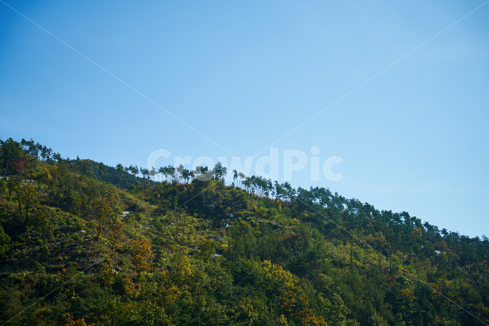나무,산,하늘,가을산,색깔,sky,mountain,tree,자연,풍경,nature,landscape,outdoors,옥외