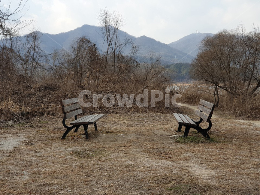 벤치,의자,겨울,bench,나무,winter,tree,자연,풍경,nature,landscape,park bench,공원 벤치