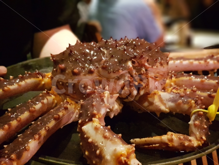 대게,킹크랩,생물,해산물,신선한,살아있는,음식,식재료,요리,food,cook,meal,dishes,food reserves,수산물,해산물,fishery products,seafood