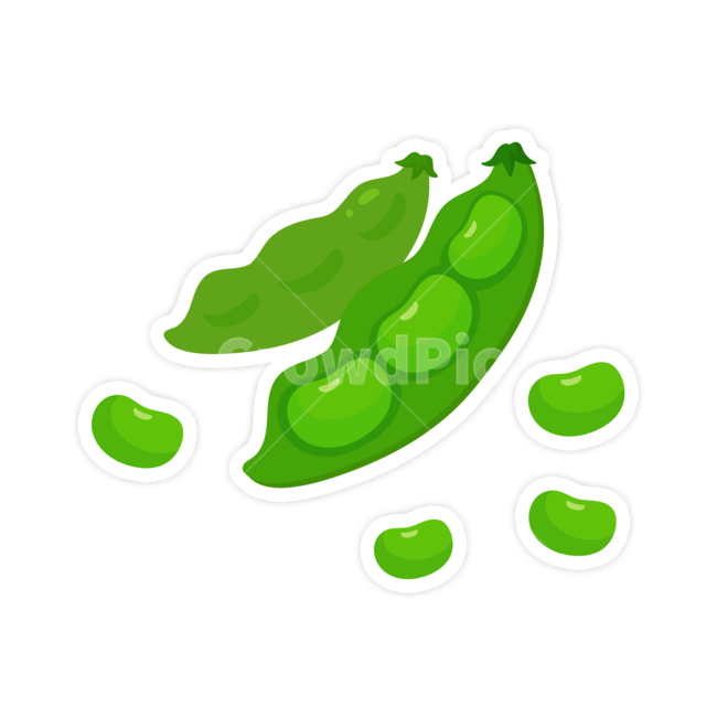 콩,음식,밥,완두콩,야채,채소,음식,식재료,요리,food,cook,meal,dishes,food reserves,그래픽,일러스트레이션,graphic,illustration