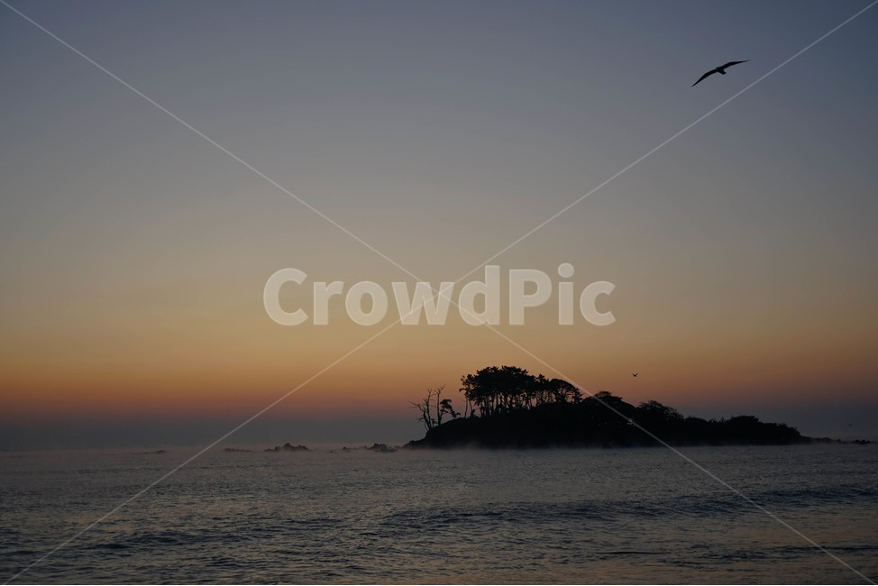일출,여명,새벽,섬,바다,동해,자연,풍경,nature,landscape,outdoors,옥외,animal,동물,bird,새,sunset,일몰,red sky,붉은 하늘,sky,하늘,dusk,황혼,dawn