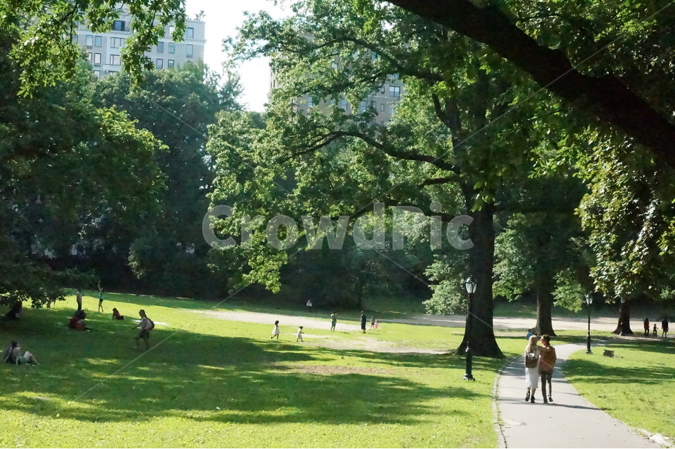 뉴욕,센트럴파크,newyork,centralpark,park,산책,걷기,잔디밭,잔디,공원,길,산책로,landscape,city,citylandscape,미국,외국,세계,건물,도시,외국도시,도시풍경,나무,나무그늘,그늘,자연,풍경,nature,landscape,해외,외국,세계,foreign,oversea,world,사람들,대중,군중,other people,crowd,grass,plant,식물,outdoors,옥외,lawn,tree